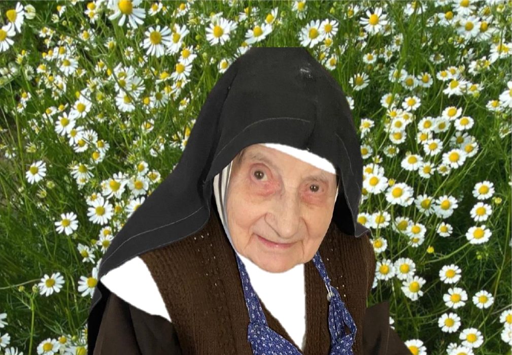Preminula s. M. Asunta od sv. Mihaela (Jurčević)